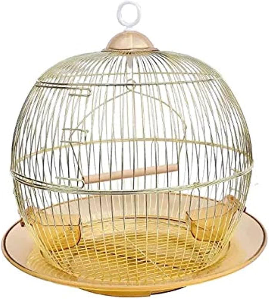 Golde Round Cage with Swing