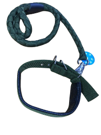 Dog Leash and Collar Set
