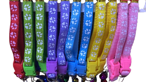 Colorful cat collar with bell and 