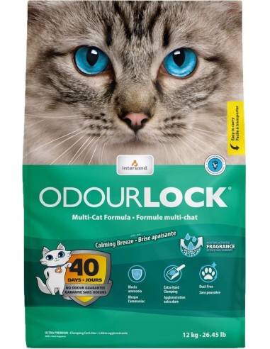 Intersand Litter Breeze Scent 12kg