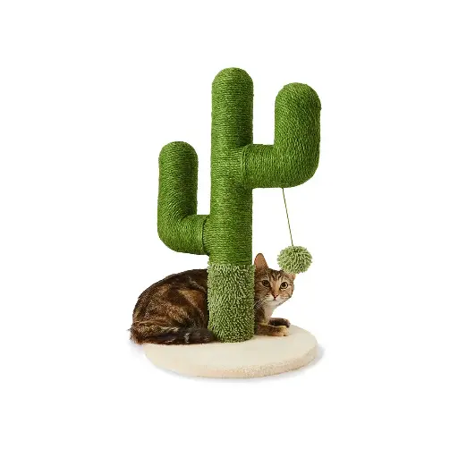 Cactus Cat Scratching– With Durable Scratching Poles